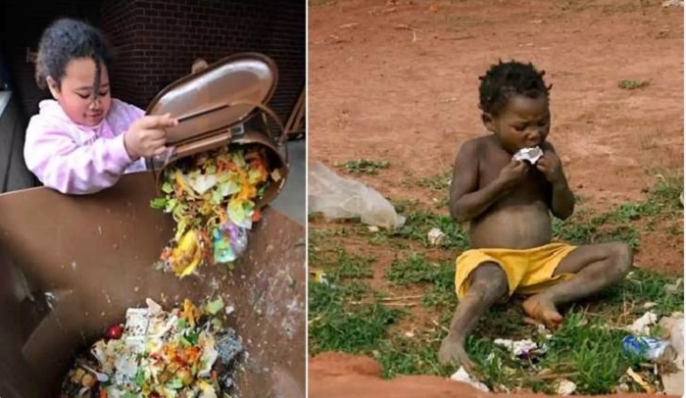 Social Impact